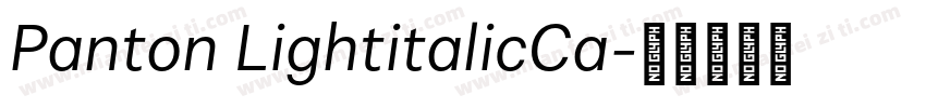 Panton LightitalicCa字体转换